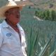 Agave, jimador, harvest, time, organic, mexico